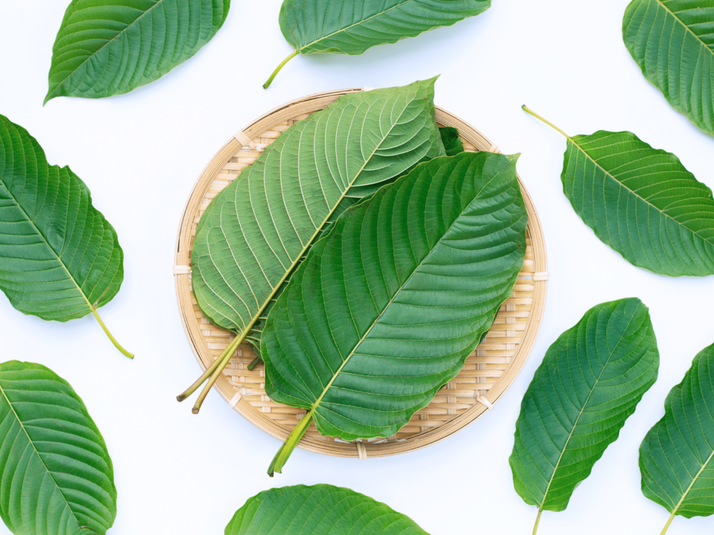 buy white vein kratom online